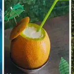 XL Sweet Melon Slush